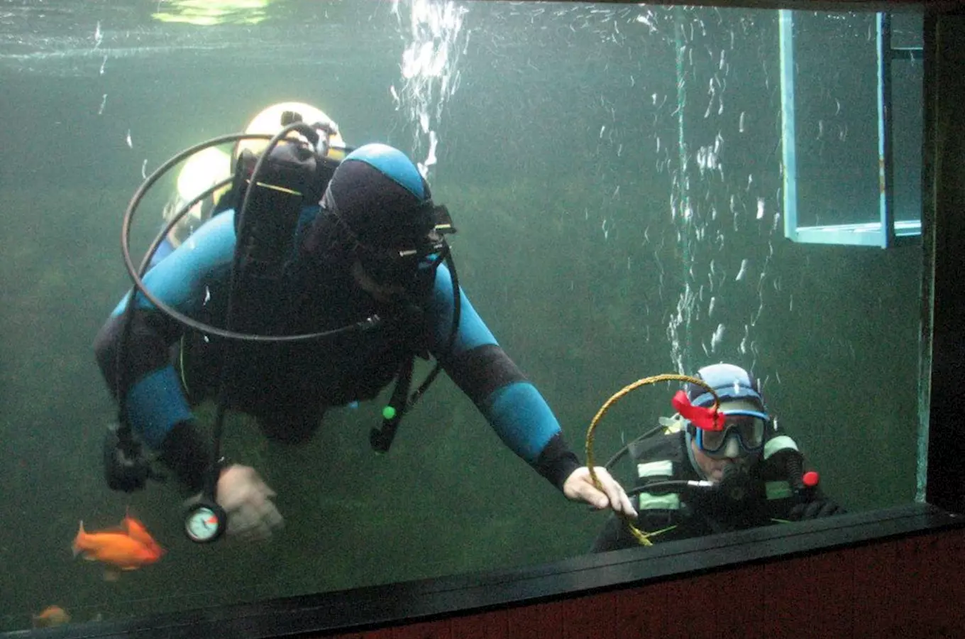 Potápěčské exkurze v akváriu Džbánov