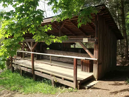 Pila jednuška