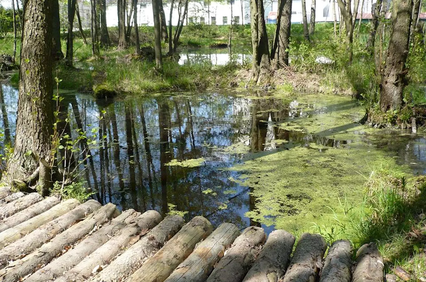 Tůně a jezírka u Chotěboře