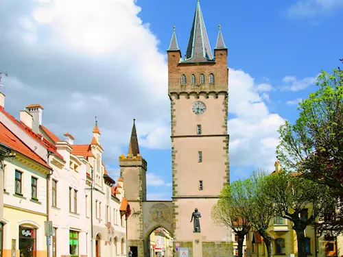 Socha Přemysla Otakara II. ve Vysokém Mýtě