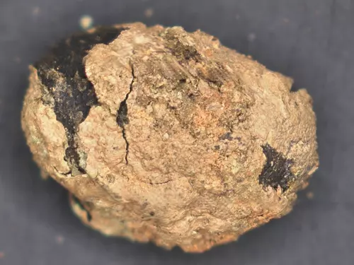 Den archeologie vArcheologickém centru Olomouc 