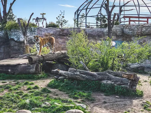 Jihočeská zoologická zahrada Hluboká nad Vltavou – adoptujte si zvíře