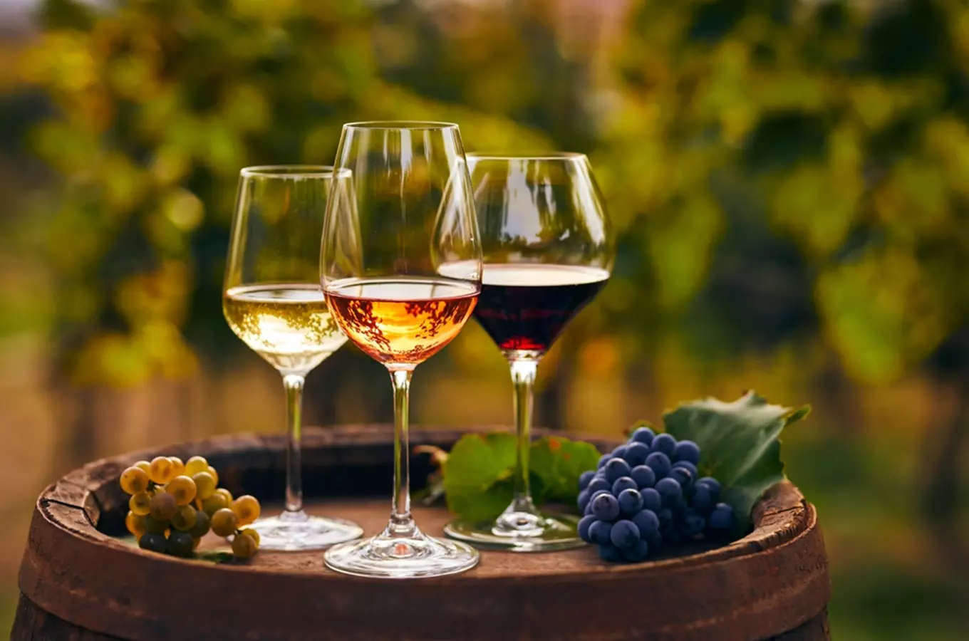 Letní slavnost autentických vín