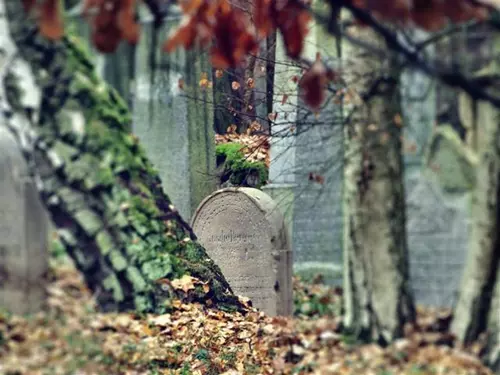 Židovský hřbitov v Pňovanech