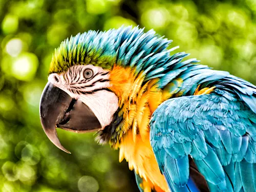 Papouščí zoo v Bošovicích zahajuje novou sezónu
