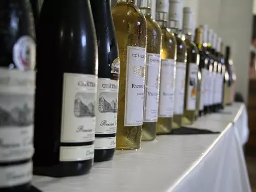 Zámecký košt vín ve Valticích