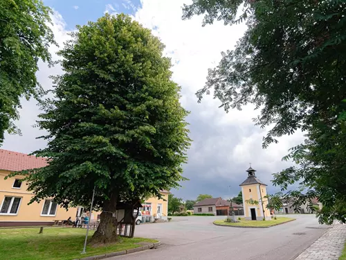 Zdroj foto: Strom roku