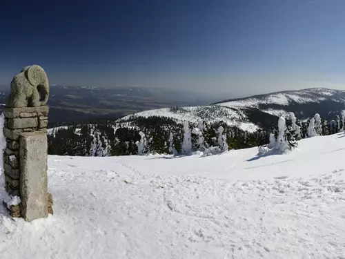 Slůně, Nazgûl, Malý Marťan nebo značkující voříšek: sochy kolem nás, které rozveselí a pobaví