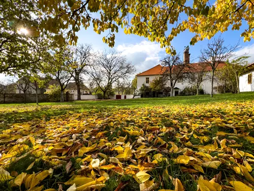 Pivovar Dalešice – místo známé z filmových Postřižin