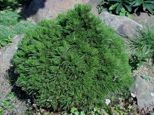 Fascinace rostlinami – Příběhy živoucích pokladů  v Botanické zahradě Praha