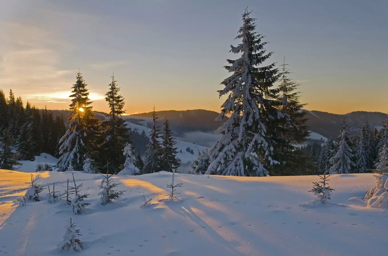 Šumavou na sněžnicích – výlety přírodou se Správou NP Šumava