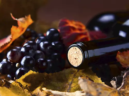 Témer celý listopad bude v Ceském Krumlove patrit již tradicne vínu
