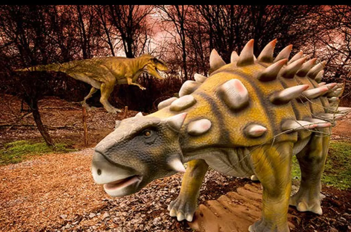 Jurský svět v Česku aneb kam se vypravit za dinosaury a do pravěku