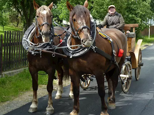 Projížďky na voze taženém koňmi v okolí Dlouhomilova