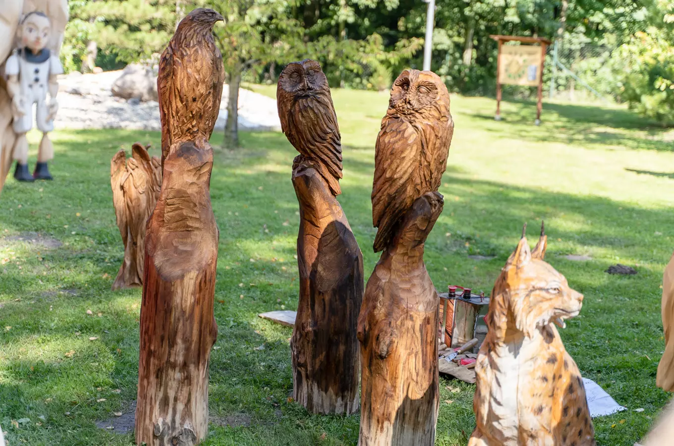 Festival dřeva v Ostravě – Den v lese