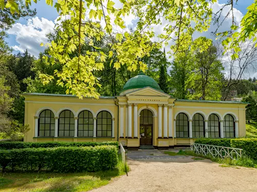 Lesní pramen v Mariánských Lázních