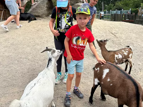 Jihočeská zoologická zahrada Hluboká nad Vltavou – adoptujte si zvíře