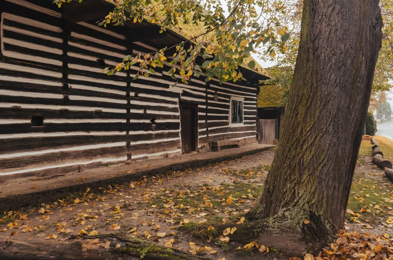 Českem na výlet za krásou starých roubenek a dřevěnek