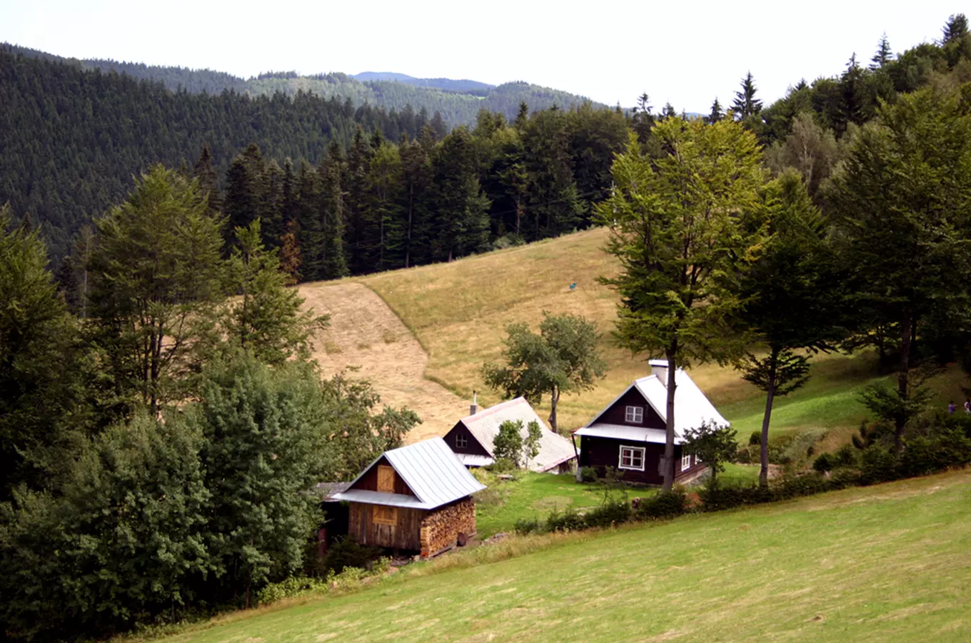 S dětmi do Beskyd na hřeben vrchu Soláň