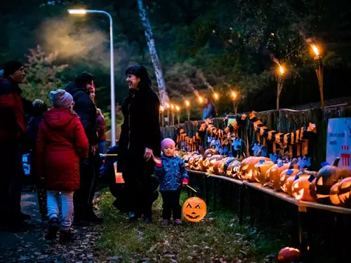 Strašidelná Zoo v Chomutově – večer plný svíček a halloweenských dýní