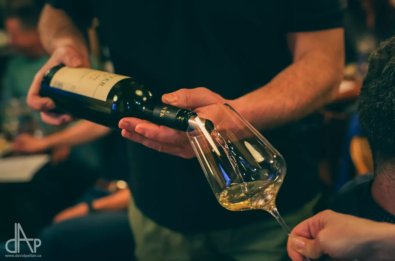 Navštivte festival vína v Táboře: nabídne to nejlepší z Čech, Moravy a zahraničí