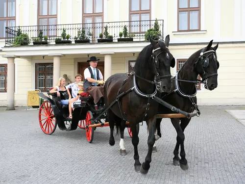 Nostalgické jízdy kočárem v Karviné
