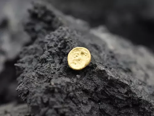 Archeologický objev na Královéhradecku – rozsáhlé a bohaté sídliště Keltů