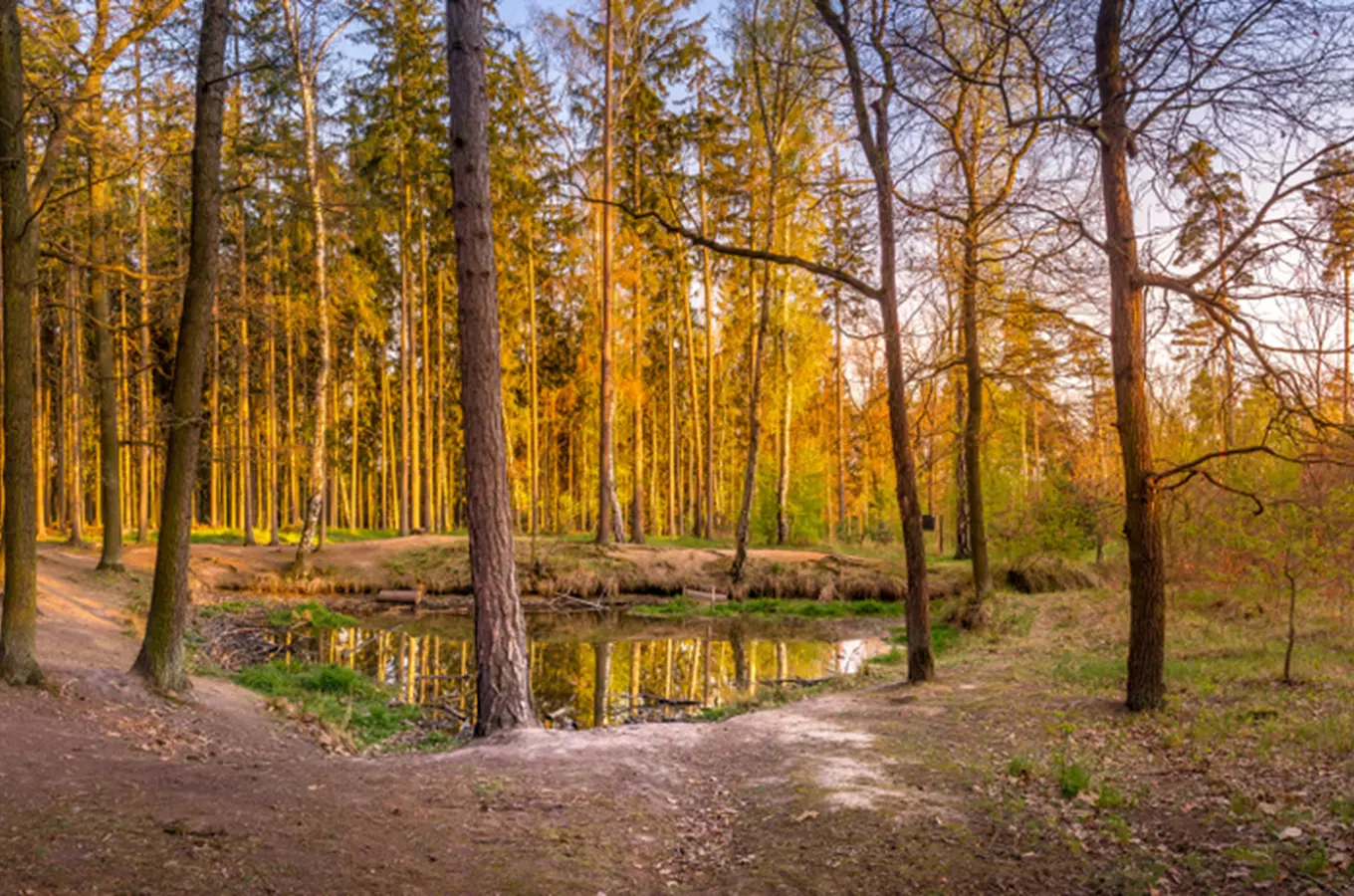 Znáte nejznámější chráněná území a rezervace v Praze?