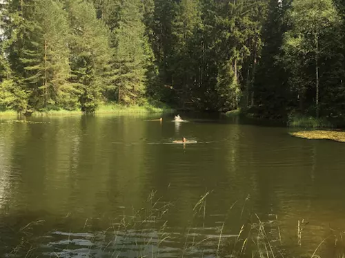 Přírodní rezervace Ranská jezírka