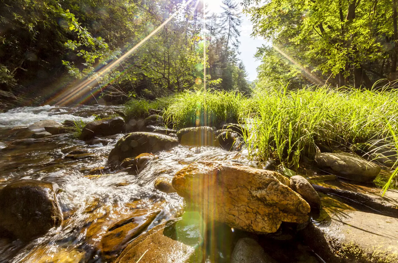 Rakovecké údolí na Drahanské vrchovině