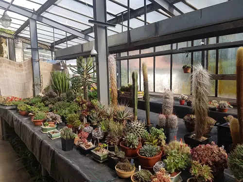 Výstava kaktusů a sukulentů na zámku Libochovice 2024