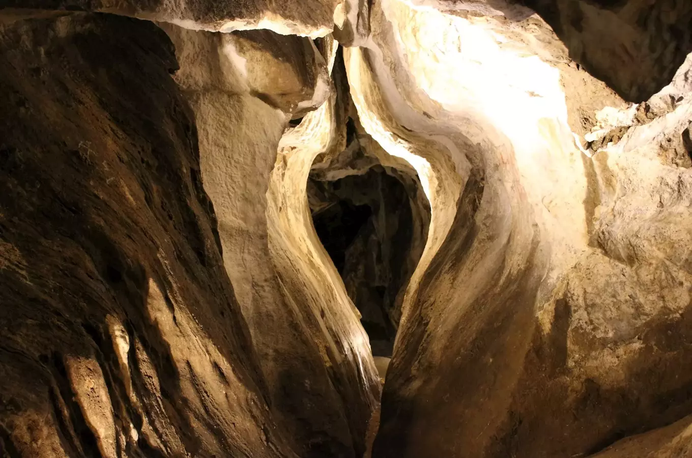 Jeskyně Na Špičáku nově poodhalí návštěvníkům tajnou řeč netopýrů 