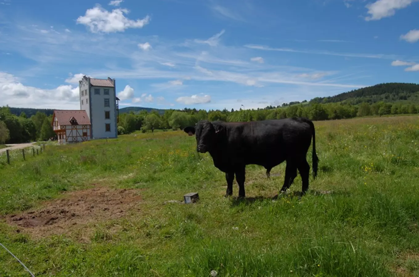 Brautfergerův dvůr – agroturistika na Šumavě