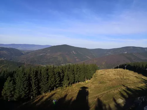 Rozhledna U Tetřeví chaty na Medvědí hoře v Koutech nad Desnou
