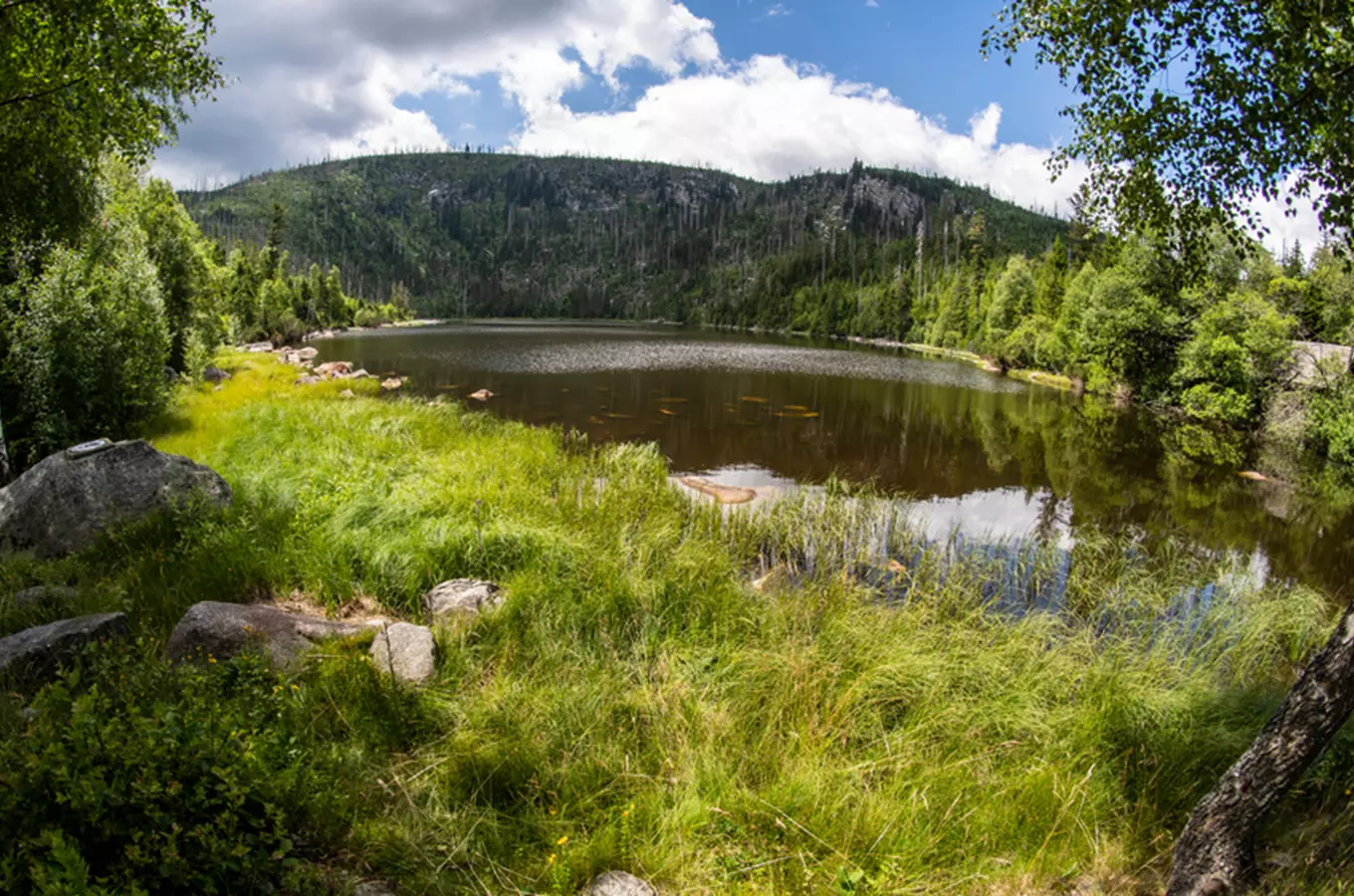 Plešné jezero – nejširší ledovcové jezero české části Šumavy