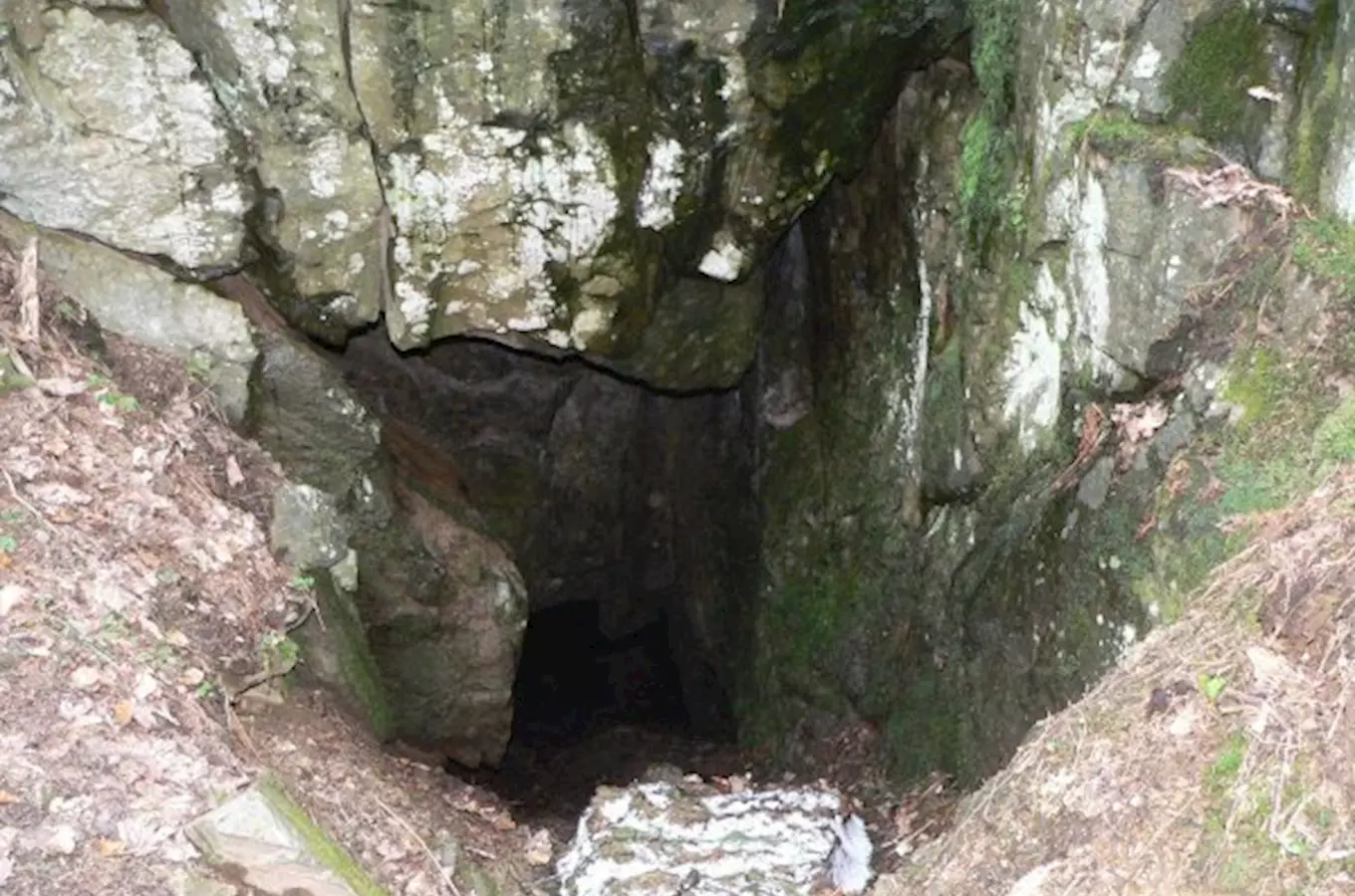 Patzeltova jeskyně u Dolní Moravy