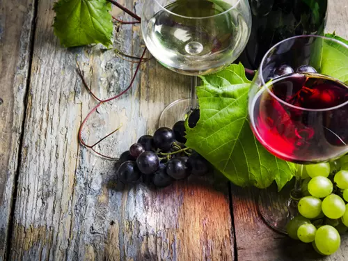 Vinařem roku České republiky pro rok 2021 se stalo Zámecké vinařství Bzenec