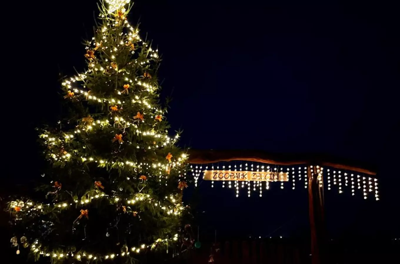 Rozsvícení vánočního stromku v Zelčíně