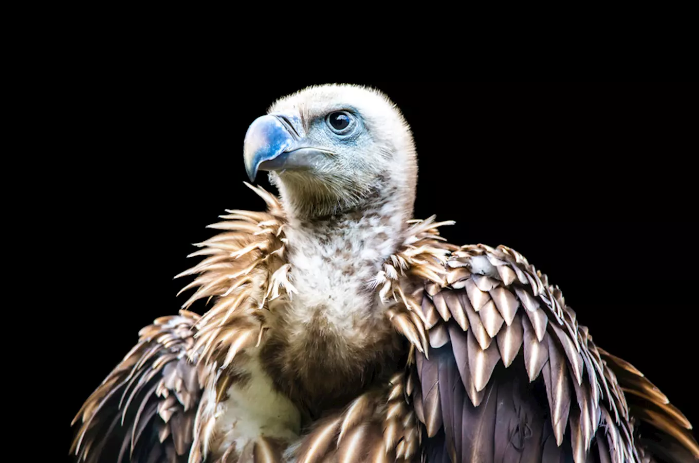 Nejstarší zoo v České republice – Zoologická zahrada Liberec 