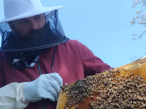 Včelař s plástem