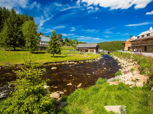Národní park Šumava letos vyhlásil Rok Návratů