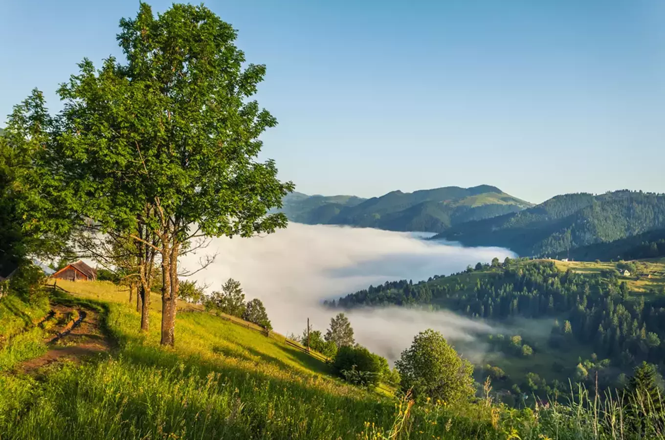 Bílé Karpaty a Moravské Kopanice, kudy z nudy