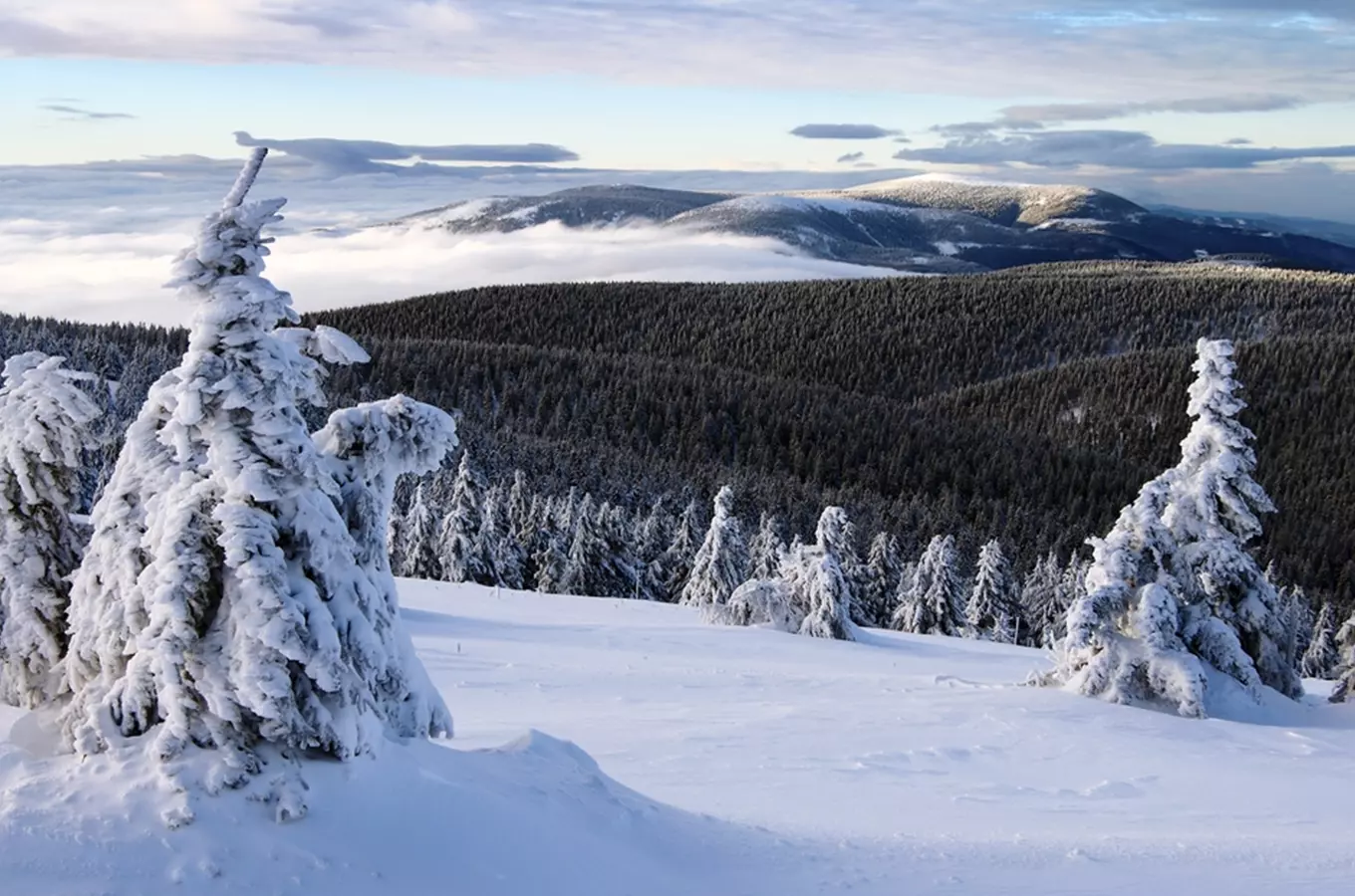 Národní přírodní rezervace Králický Sněžník slaví 30 let od svého vzniku