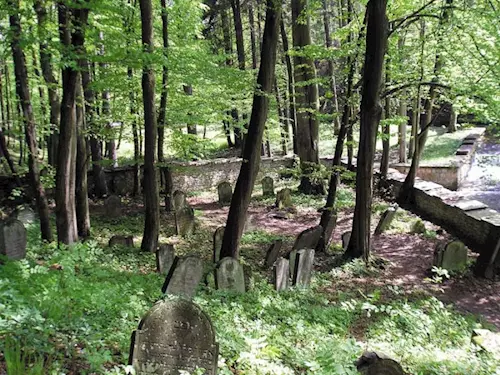 Lesní židovský hřbitov v Podbřezí