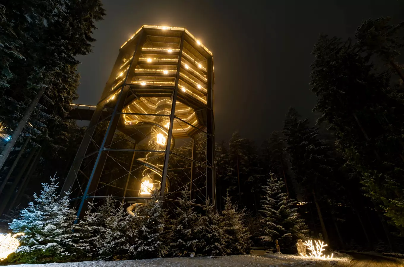 Světelná Stezka korunami stromů Lipno