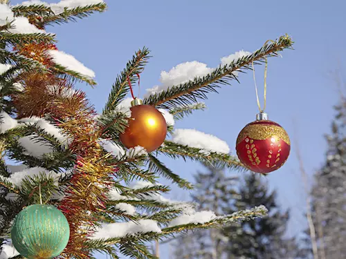 Rozsvícení vánočního stromu v Harrachově