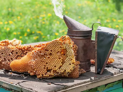 Včelařská expozice Pištín