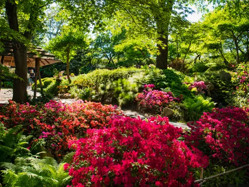 Znáte nejkrásnější pražské zahrady?