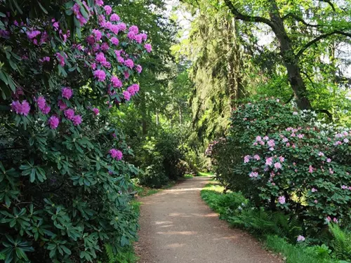 Zdroj foto: FB Průhonický park