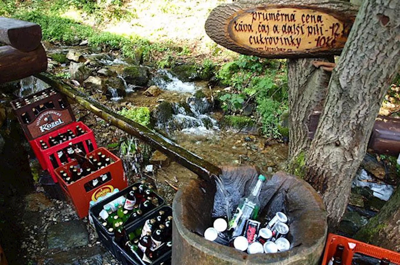 Lesní bar v Rychlebských horách
